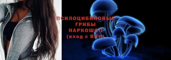 гидра Михайлов