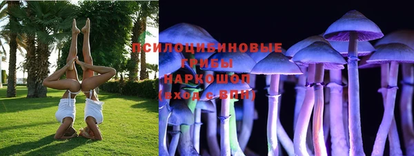 сатива Навашино