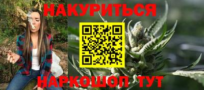 шишки Жуковский