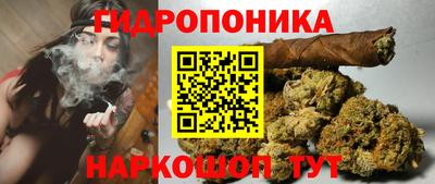 ГАЛЛЮЦИНОГЕННЫЕ ГРИБЫ Заволжье