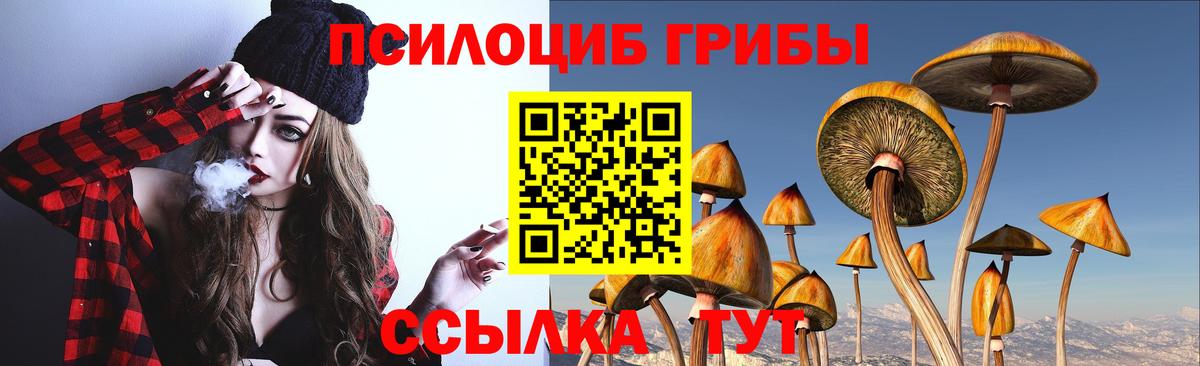 Псилоцибиновые грибы MAGIC MUSHROOMS Чусовой